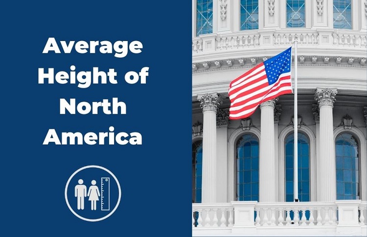 Average Height of North America